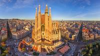 Barcelona: Private Gaudi Tour and Sagrada Familia Ticket