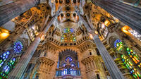 Sagrada Familia and Park Guell Private Guided Family Tour in Barcelona