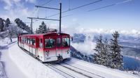 Forfeit y billete tren para el Monte Rigi: tarjeta de un día