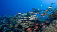 Bora Bora Fun Certified Scuba Dive