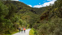 Things to Do & Tours