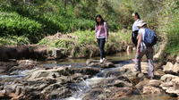 Things to Do & Tours