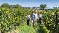 Torres Wine Cellars and Montserrat and Sitges Guided Day Tour from Barcelona