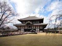 Kyoto and Nara Day Trip from Kyoto including Nijo Castle