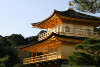 Kyoto Morning Tour of Kinkakuji Temple, Nijo Castle and Kyoto Imperial Palace from Osaka