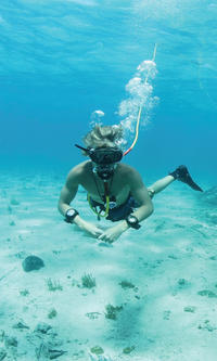 Crucero de fiesta en Punta Cana con buceo de superficie, buceo Hooka y parapente