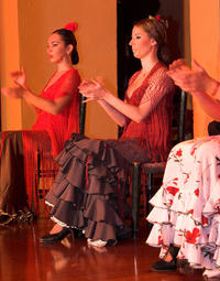 Espectáculo de flamenco en el tablao flamenco El Arenal de Sevilla