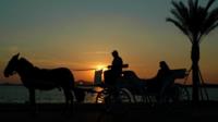 Aswan City Private Tour by Horse Carriage