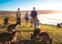 5-Day Adelaide and Kangaroo Island Tour Including Barossa Valley Wine Tasting