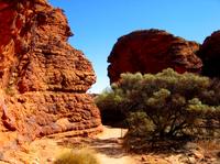 Kings Canyon Day Trip from Ayers Rock