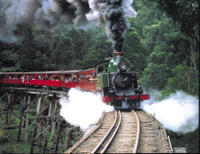 Puffing Billy Steam Train, Yarra Valley and Healesville Wildlife Sanctuary Day Tour