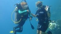 Curso de aguas abiertas de PADI en Uvero Alto, Punta Cana