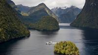 Doubtful Sound Wilderness Cruise from Te Anau or Manapouri