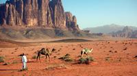 8-Night Best of Jordan Including Wadi Rum, Petra, Dead Sea, and Aqaba