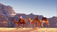Private Full-Day Tour to Wadi Rum from Dead Sea