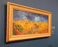 Van Gogh Museum Amsterdam Guided Tour with Art Historian