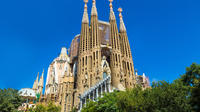 Visita guiada a la Sagrada Familia con acceso a las torres
Disfrute de la famosa catedral de la Sagrada Familia de Barcelona con esta visita guiada. Vea la obra de Gaudí desde dentro y disfrute de unas vistas panorámicas impresionantes de la ciudad desde una de sus torres. Durante la visita, podrá ver las fachadas y en el interior de la basílica, adquirirá conocimientos básicos que solo su guía le puede ofrecer sobre el simbolismo que representa a la Sagrada Familia como expresión de la fe y de la ideología cristiana a través de la construcción en piedra. Maravíllese ante el monumento más emblemático de Barcelona por la mañana. Independientemente de las creencias, esta catedral es sorprendente por su arquitectura, su arte y su historia. Durante el recorrido podrá ver las fachadas y el interior de la basílica adquirirá conocimientos básicos que solo su guía le puede ofrecer sobre el simbolismo que representa la Sagrada Familia como expresión de la fe y la ideología cristiana a través de la construcción en piedra. Para quienes profesan otra fe y para entender el cristianismo, la historia de la iglesia, las Sagradas Escrituras, la tradición de la dedicación a los Santos, la doctrina y el culto cristianos. Realizará una visita guiada de la mano de nuestro guía experto, el cual le explicará los detalles del arte de Gaudí, y descubrirá todos los secretos que hay detrás de la construcción de esta catedral, que se supone que quedará acabada en el año 2026, más de cien años después de la muerte de Gaudí. Además, tendrá la oportunidad de disfrutar de una de las mejores vistas de Barcelona desde la cima de una de las torres, y de ver de cerca los detalles de la decoración de los puntos más altos de la fachada. No se pierda la oportunidad de conocer la principal atracción de Barcelona. Visita guiada a la Sagrada Familia con acceso a las torres