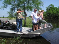 Small-Group Airboat Swamp Adventure and Plantation Tour from New Orleans