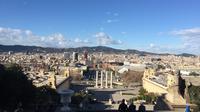 Barcelona Private Guided Tour by Minibus