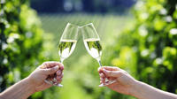 Penedes Wine and Cava Day Tour from Barcelona