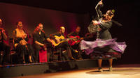 Flamenco Show: Palacio del Flamenco in Barcelona