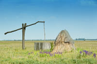 Puszta Great Plains and Kecskemet Day Trip from Budapest