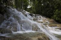 Falmouth Shore Excursion: Dunn\'s River Falls and Ocho Rios Shopping Tour