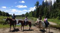Horseback Trail Ride and Lesson