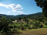 Chianti Half-Day Wine Tour from Florence