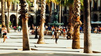Highlights and Hidden Gems Private Tour Barcelona