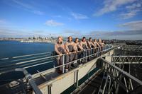 Auckland Harbour Bridge Climb