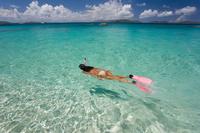 Aruba Palm Pleasure Snorkel Adventure