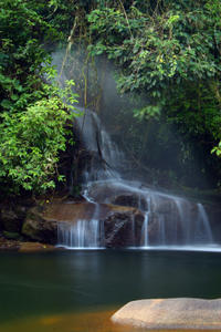 Waterfall Jungle Jeep Adventure and Cachaca Tour from Paraty - Paraty ...