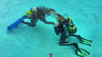 Curso de submarinismo PADI en Punta Cana