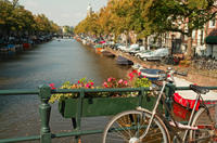 Make use of Amsterdam's extensive Canal Bus system to explore the vibrant city