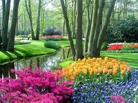 Amsterdam Super Saver: Keukenhof Gardens Day Trip plus Amsterdam City Tour