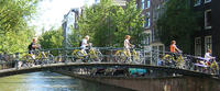 Small-Group Amsterdam Bike Tour