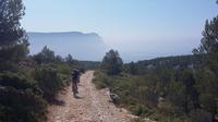 Best of Cassis Electric Mountain Bike Tour