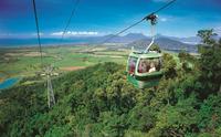 Skyrail Rainforest Cableway Day Trip from Palm Cove