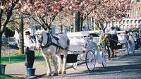 Beacon Hill Park Carriage Tour