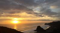 Private Tour: Full-Day Piha and Waitakere Eco-Tour Including Lunch from Auckland