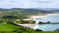 Private Full-Day Tour to Tawharanui Regional Park from Auckland
