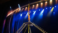 Beijing Evening Acrobatic Show in Chaoyang Theater with Private Transfer