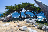 2-Day Monterey, Carmel and Pebble Beach Tour from San Francisco