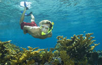 Aventura de buceo de superficie en las Bahamas por la costa de Nassau
