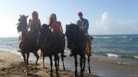 Vacaciones a caballo en la playa y en la montaña en Puerto Plata