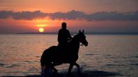 Cabalgata durante la puesta de sol por Puerto Plata con cena