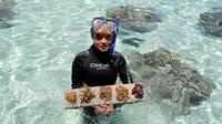 Small-Group Coral Nursery Tour in Bora Bora