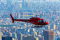 Tour en helicóptero
Vea desde el aire los famosos monumentos de Nueva York en un emocionante recorrido en helicóptero de 15 minutos. Se encontrará de cara con la Estatua de la Libertad mientras vuela por encima del río Hudson. Admire el icónico Empire State Building, el plateado resplandor art decó del edificio Chrysler y la inmensa extensión natural de Central Park. ¡Todo los visitantes de Nueva York deberían hacerlo!Durante el vuelo de 15 minutos que recorre Nueva York apreciará la grandiosidad de los famosos rascacielos de Manhattan de un modo imposible desde el suelo. Además, contemplará el monumento más famoso de los EE. UU. desde el aire, la Estatua de la Libertad. Empezando en el helipuerto del centro de Nueva York, situado cerca de Battery Park y Wall Street, sobrevolará le World Financial Center, el Empire State, el edificio Chrysler, el edificio Woolworth, los edificios Met Life, la isla Ellis y el río Hudson hasta llegar al puente de George Washington. Su piloto le irá dando una explicación de los puntos de interés que vaya viendo durante el vuelo a través de unos auriculares, y todos los asientos del helicóptero ofrecen vistas espectaculares de la ciudad. ¡Evite las colas y el gentío de Nueva York con un paseo de altos vuelos! Nota: Debe llamar para reservar la hora que prefiera después de hacer la reserva. El precio indicado no incluye la tarifa del helipuerto de 40 USD por persona, que deberá abonar al presentarse para realizar el recorrido.
Oferta especial - Haga su reserva antes del 31 de enero y viaje antes del 31 de marzo y se ahorrará un 7% en nuestro precio ofrecido previamente. - Reservar ahora! Tour en helicóptero