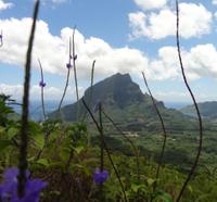 Moorea Three Coconuts Trail Guided Hike